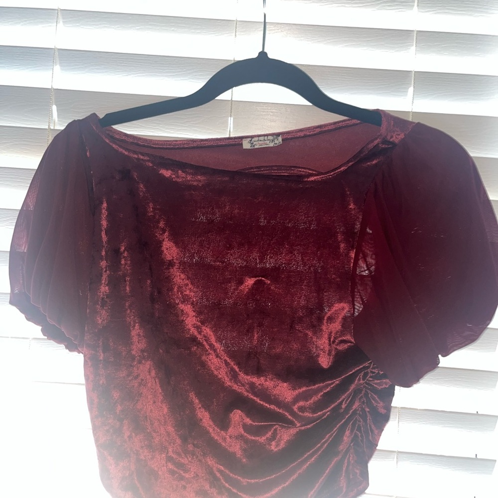 Free People Velvet Burgundy Blouse